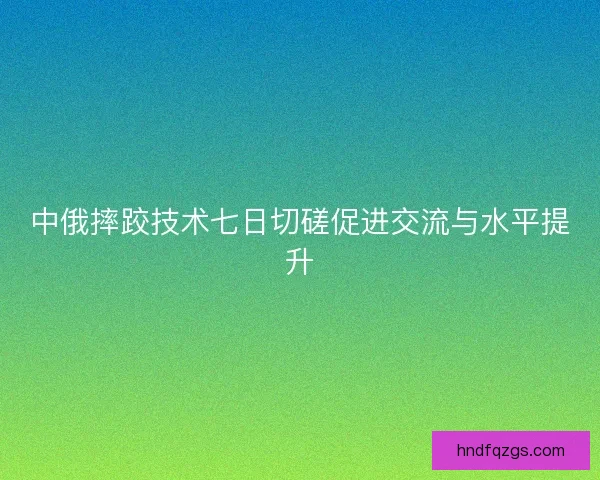 中俄摔跤技术七日切磋促进交流与水平提升